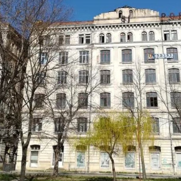 Moara Violatos – între istorie glorioasă și degradare alarmantă