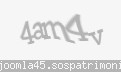 Codul de securitate
