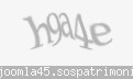 Codul de securitate