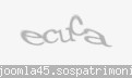 Codul de securitate