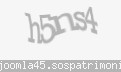 Codul de securitate