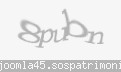 Codul de securitate