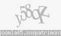 Codul de securitate