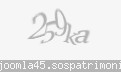 Codul de securitate