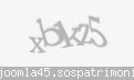 Codul de securitate