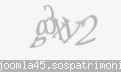 Codul de securitate