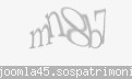 Codul de securitate