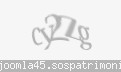 Codul de securitate