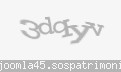 Codul de securitate