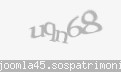 Codul de securitate