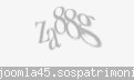Codul de securitate