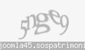 Codul de securitate