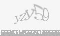 Codul de securitate