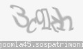 Codul de securitate