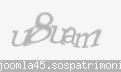Codul de securitate