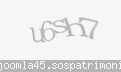 Codul de securitate