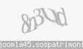 Codul de securitate