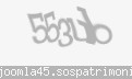 Codul de securitate