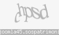 Codul de securitate