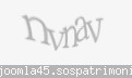 Codul de securitate