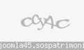 Codul de securitate