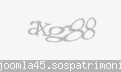 Codul de securitate