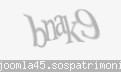 Codul de securitate