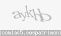 Codul de securitate