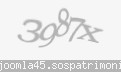 Codul de securitate
