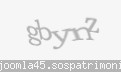 Codul de securitate
