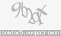 Codul de securitate