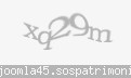 Codul de securitate