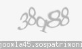 Codul de securitate