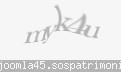 Codul de securitate