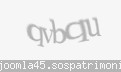 Codul de securitate