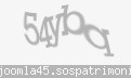 Codul de securitate