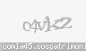 Codul de securitate