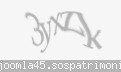 Codul de securitate