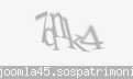 Codul de securitate