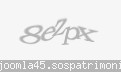 Codul de securitate