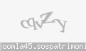 Codul de securitate