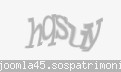 Codul de securitate