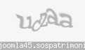 Codul de securitate