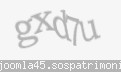 Codul de securitate