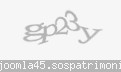 Codul de securitate