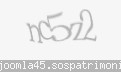 Codul de securitate