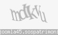 Codul de securitate