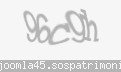 Codul de securitate