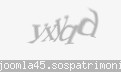 Codul de securitate