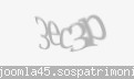 Codul de securitate